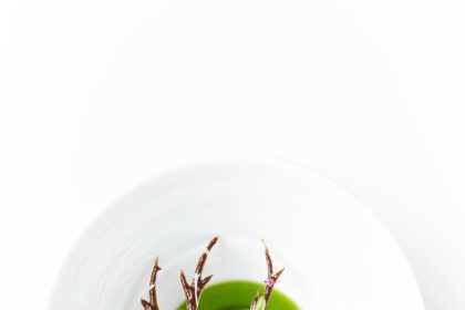 Ресторант Geranium