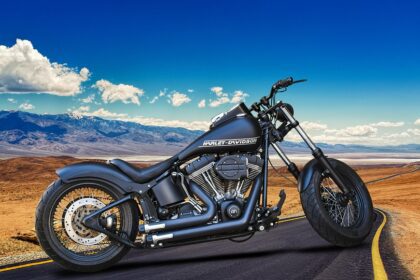 проблеми с harley davidson