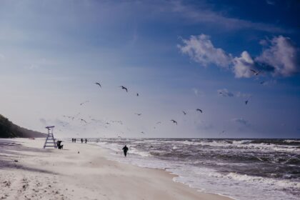 Зимни разходки край морето Linea Mare