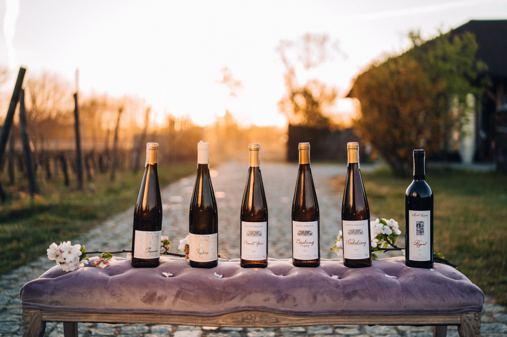 Лозя в Желюна Гура